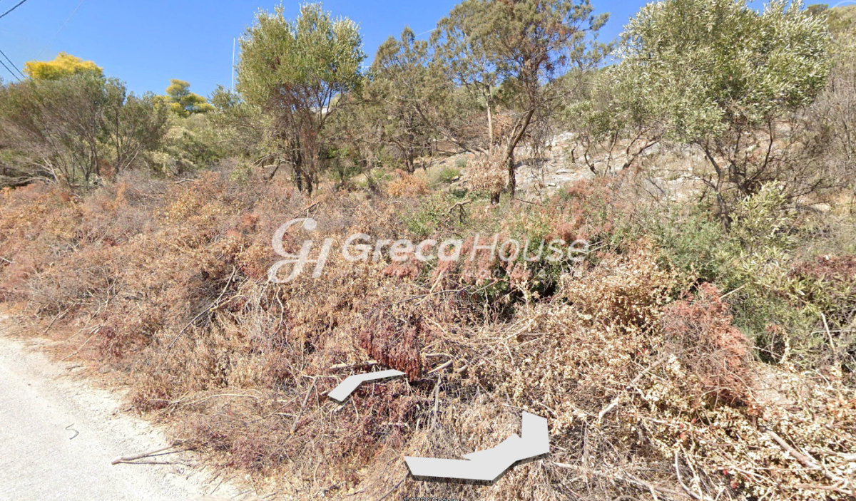 Οικόπεδο στην Φονιάς, Στύρα — Φωτογραφία 4 από 8